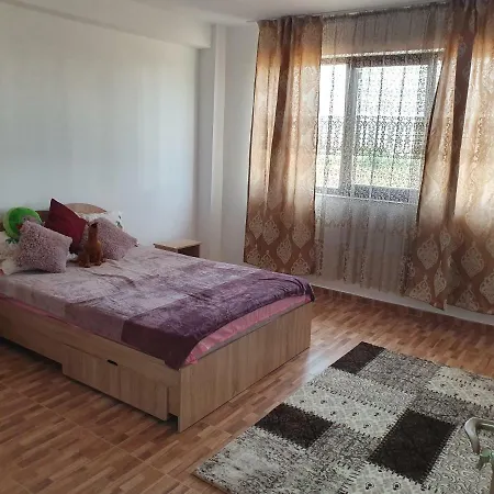 Apartament Steaua De Mare דירה *